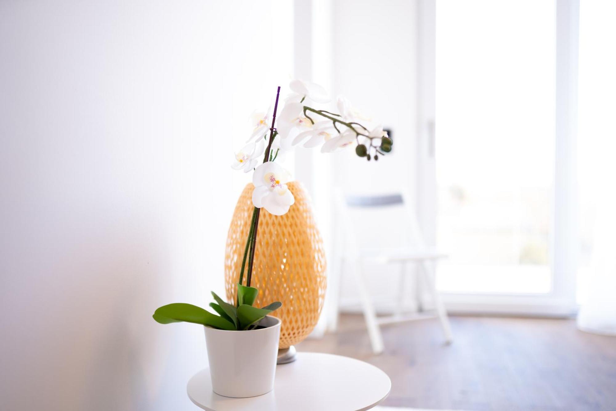 Apartment Premium Design With Balcony & Free Parking Vienna