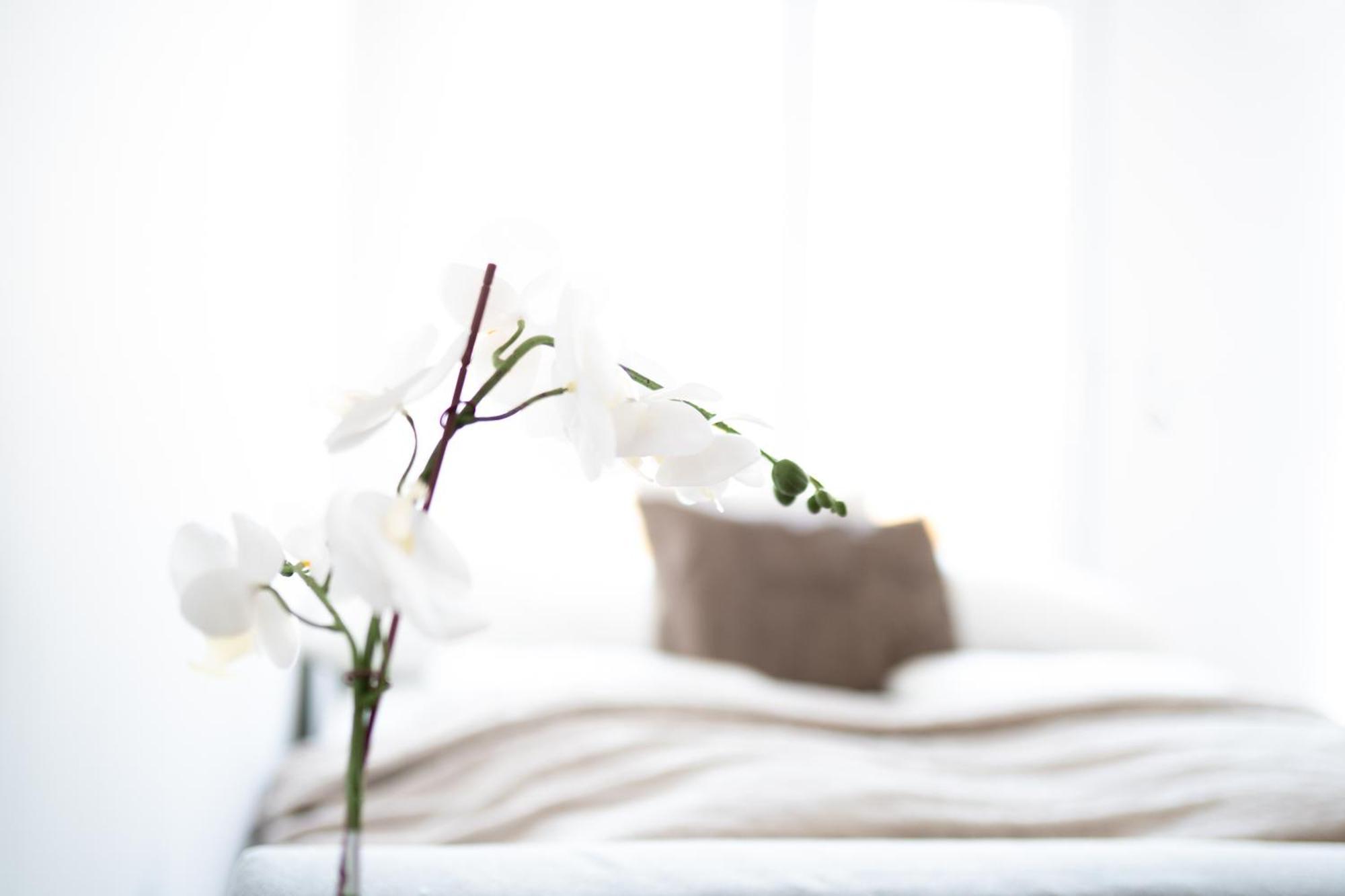 Premium Design With Balcony & Free Parking Apartment Vienna