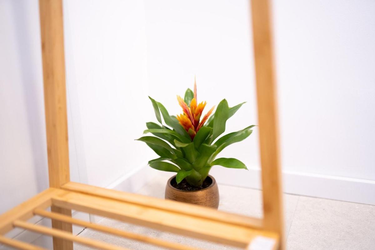 Apartment Premium Design With Balcony & Free Parking Vienna